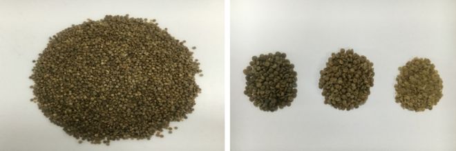 1704259086651107.jpg POV1Bega.jpg