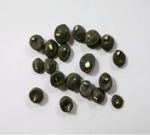 1704259126256105.jpg lTzLMw4R.jpg